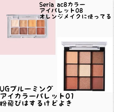 AC 8カラーアイパレット/AC MAKEUP/パウダーアイシャドウを使ったクチコミ（1枚目）