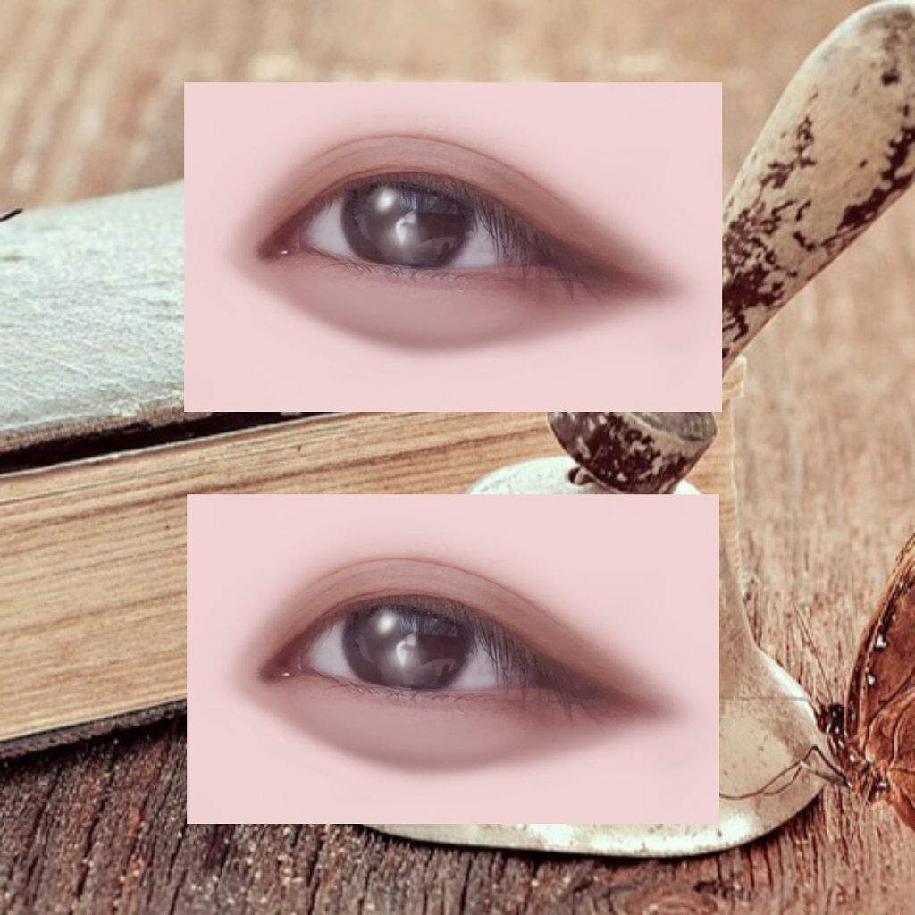 パーフェクトマルチアイズ/キャンメイク/アイシャドウパレットを使ったクチコミ（3枚目）