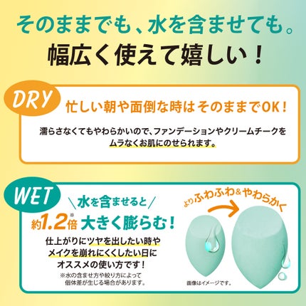 3Dスポンジ〈WET&DRY〉/ロージーローザ/パフ・スポンジを使ったクチコミ(4枚目)