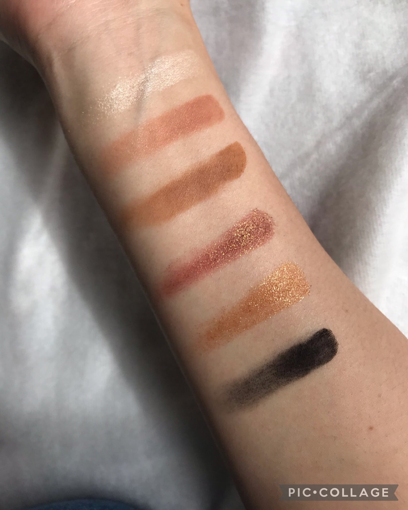 エクスプローラ12色 動物アイシャドウパレット/PERFECT DIARY/アイシャドウパレットを使ったクチコミ(6枚目)