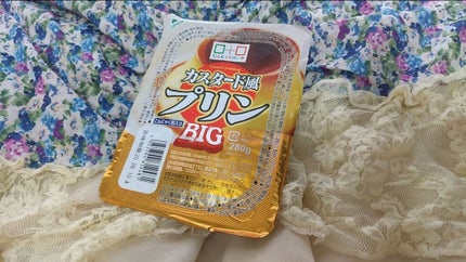 こんにゃくパーク たっぷりBigサイズ カスタード風プリン