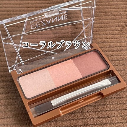 ノーズ&アイブロウパウダー/CEZANNE/パウダーアイブロウを使ったクチコミ(3枚目)