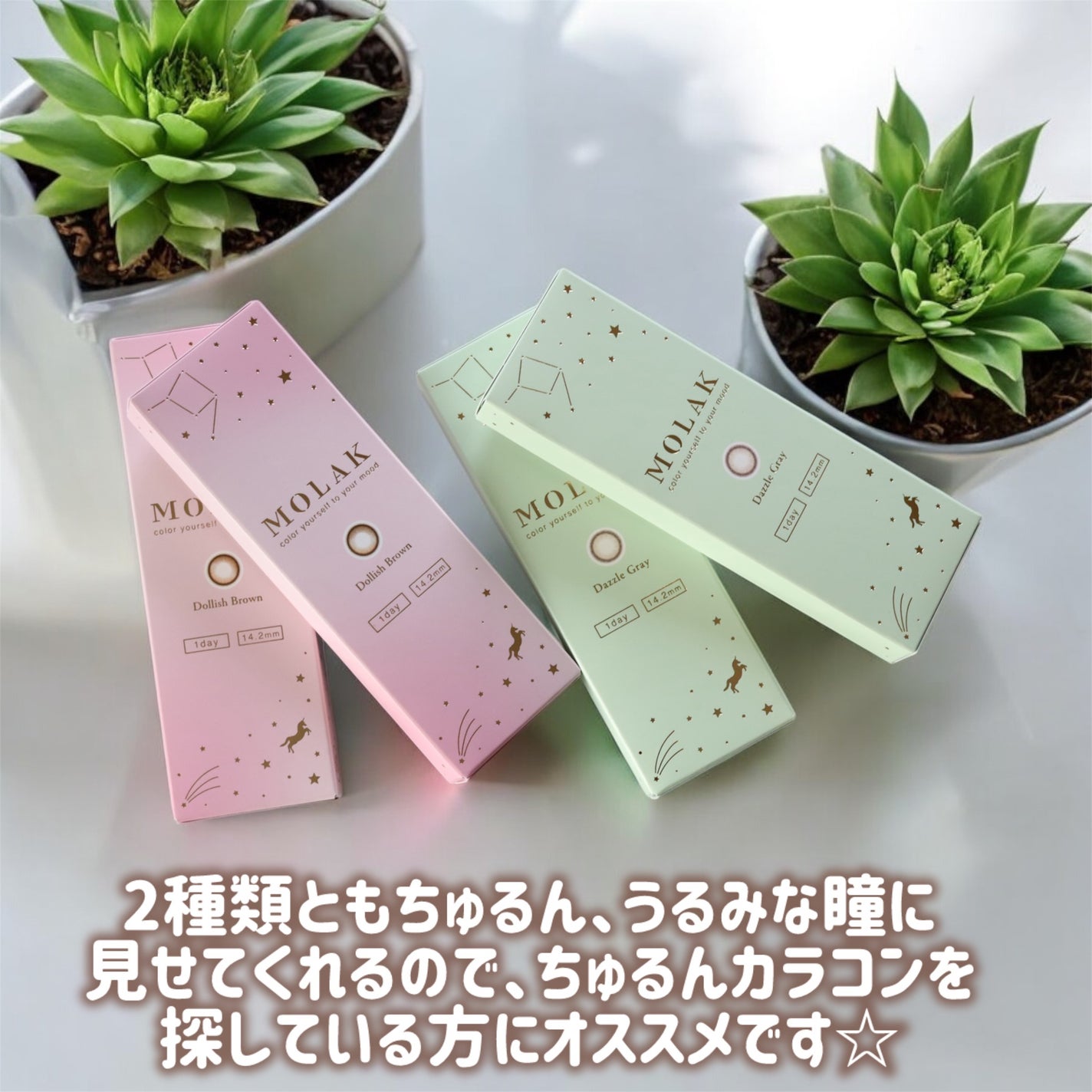 MOLAK 1day/MOLAK/ワンデー(1DAY)カラコンを使ったクチコミ(2枚目)