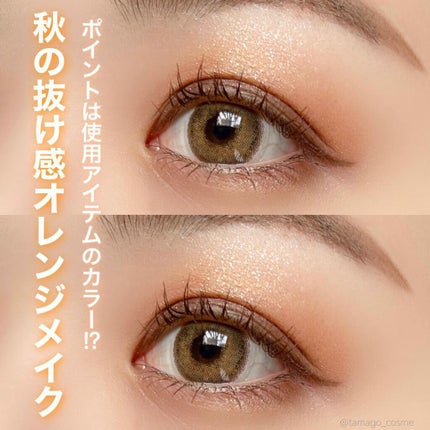 シルキーリキッドアイライナーWP/D-UP/リキッドアイライナーを使ったクチコミ(1枚目)