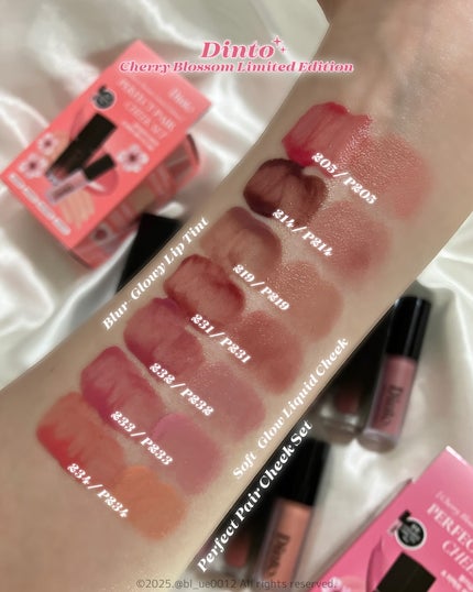 ブラーグロイリップティント/Dinto/リップティントを使ったクチコミ(6枚目)