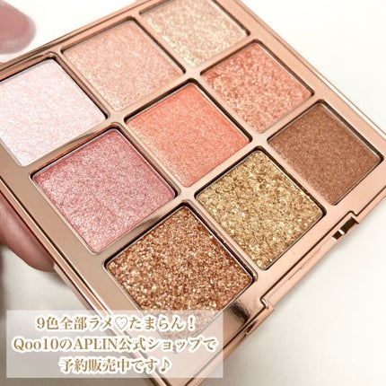 ワンピックアイシャドウパレット/APLIN/アイシャドウパレットを使ったクチコミ(3枚目)