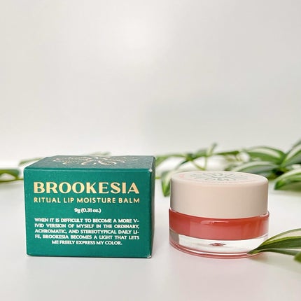 リチュアルリップモイスチャーバーム/BROOKESIA/フェイスバームを使ったクチコミ(6枚目)