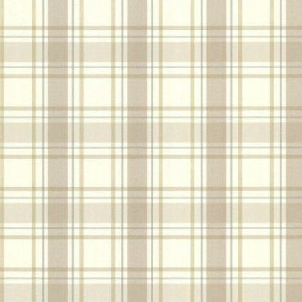 プロテクティング ファンデーション プライマー		/PAUL & JOE BEAUTE/化粧下地を使ったクチコミ(1枚目)