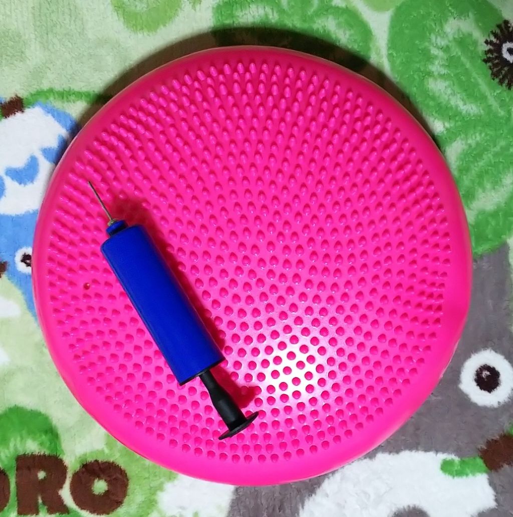 バランスディスク(リバーシブル)/Amazon Series/その他フィットネスを使ったクチコミ(1枚目)