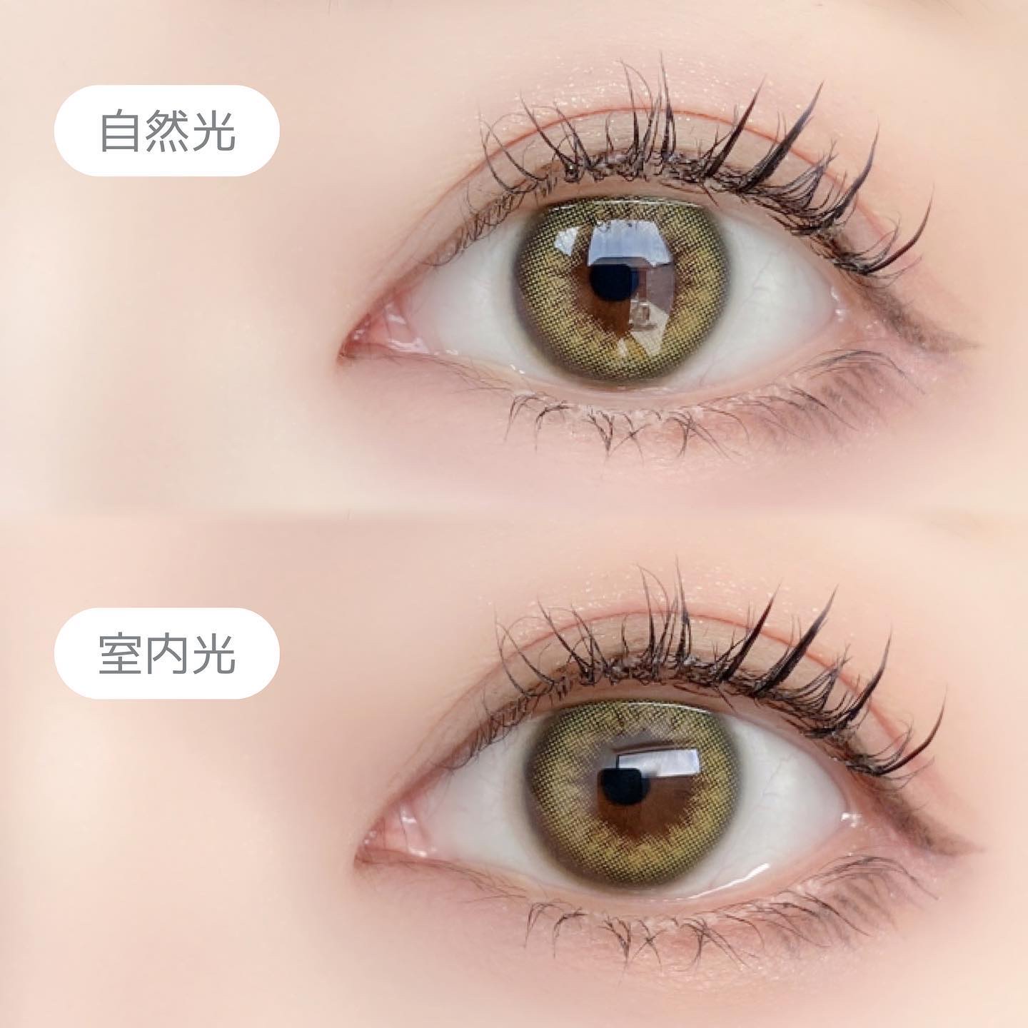 SCANDI 1day オリーブ/OLENS/カラーコンタクトレンズを使ったクチコミ（3枚目）