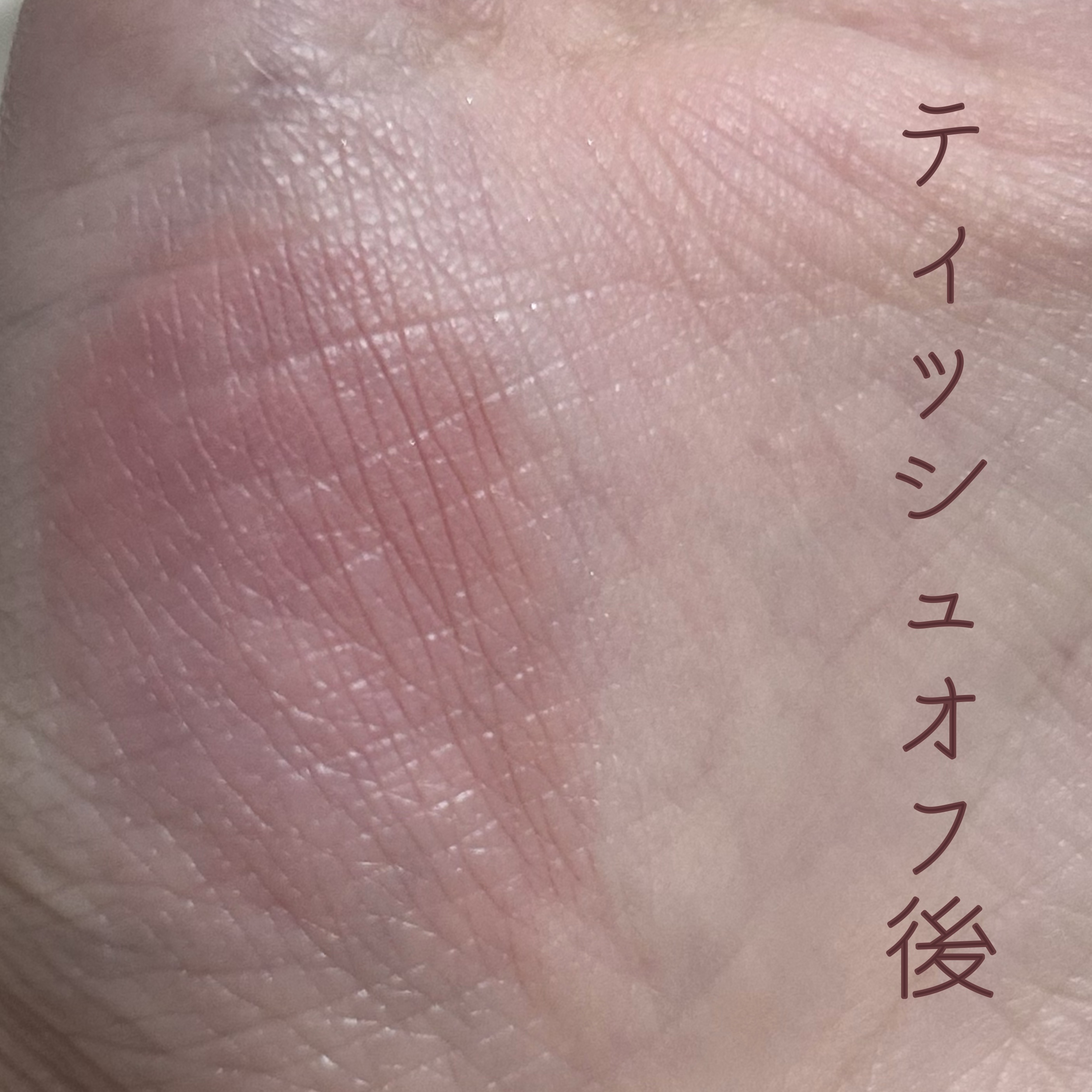 インク ベルベット 35 スプリング サーモン(SPRING SALMON)/PERIPERA/口紅を使ったクチコミ（2枚目）