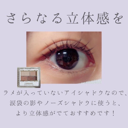 ラスティングマルチアイベース WP/キャンメイク/アイシャドウベースを使ったクチコミ(5枚目)