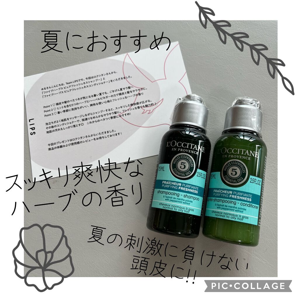 ファイブハーブス ピュアフレッシュネス シャンプー／コンディショナー/L'OCCITANE/市販シャンプーを使ったクチコミ（1枚目）