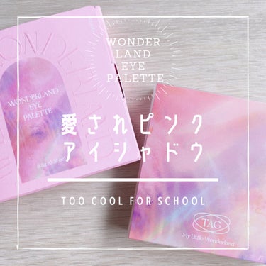 TAG WONDERLAND EYE PALETTE/too cool for school/パウダーアイシャドウを使ったクチコミ（1枚目）