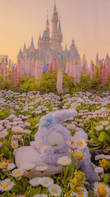 ZERO/ロッテ/低糖質食品を使ったクチコミ(4枚目)