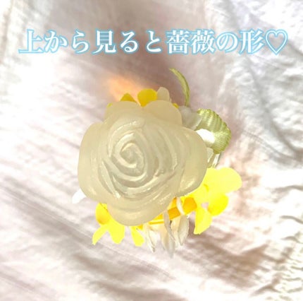 HIBISCUS/MoAni/香水(レディース)を使ったクチコミ(2枚目)