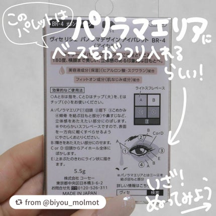 パノラマデザイン アイパレット/Visée/アイシャドウパレットを使ったクチコミ(5枚目)