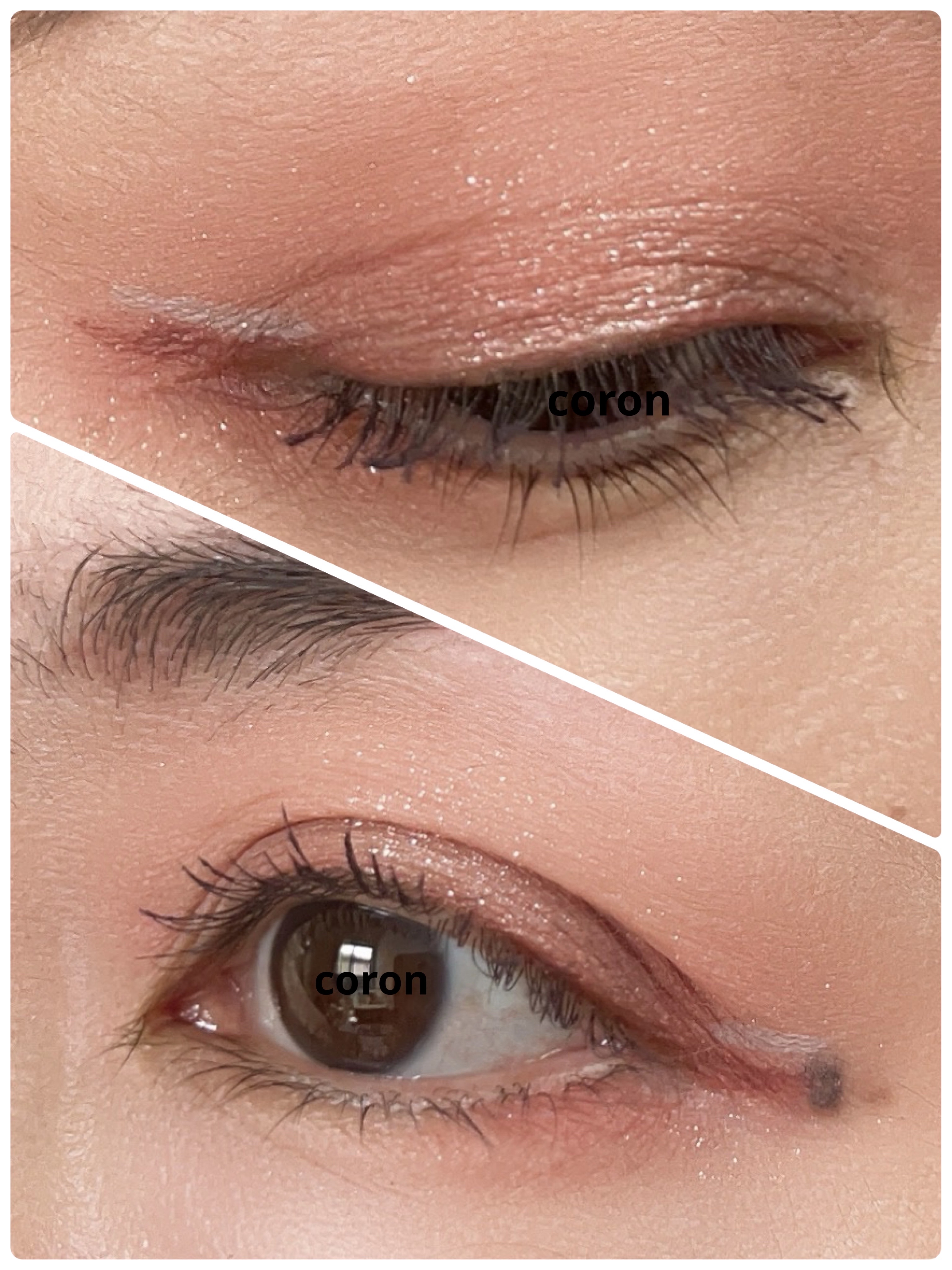 エクストラボリューム カラーマスカラ/Amplitude/マスカラを使ったクチコミ（2枚目）