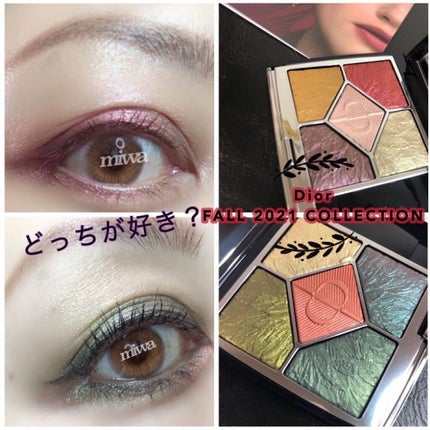 サンク クルール クチュール<バーズ オブ ア フェザー>/Dior/アイシャドウパレットを使ったクチコミ(1枚目)