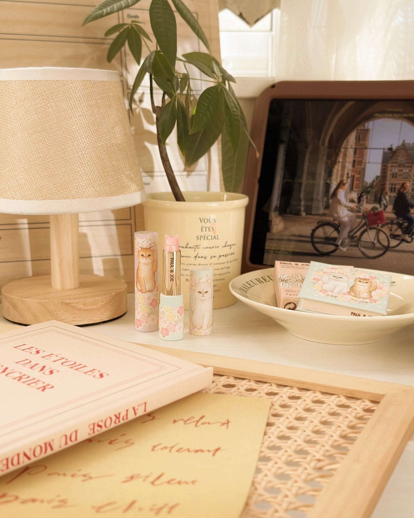 リップスティック ケース CS/PAUL & JOE BEAUTE/その他化粧小物を使ったクチコミ(3枚目)