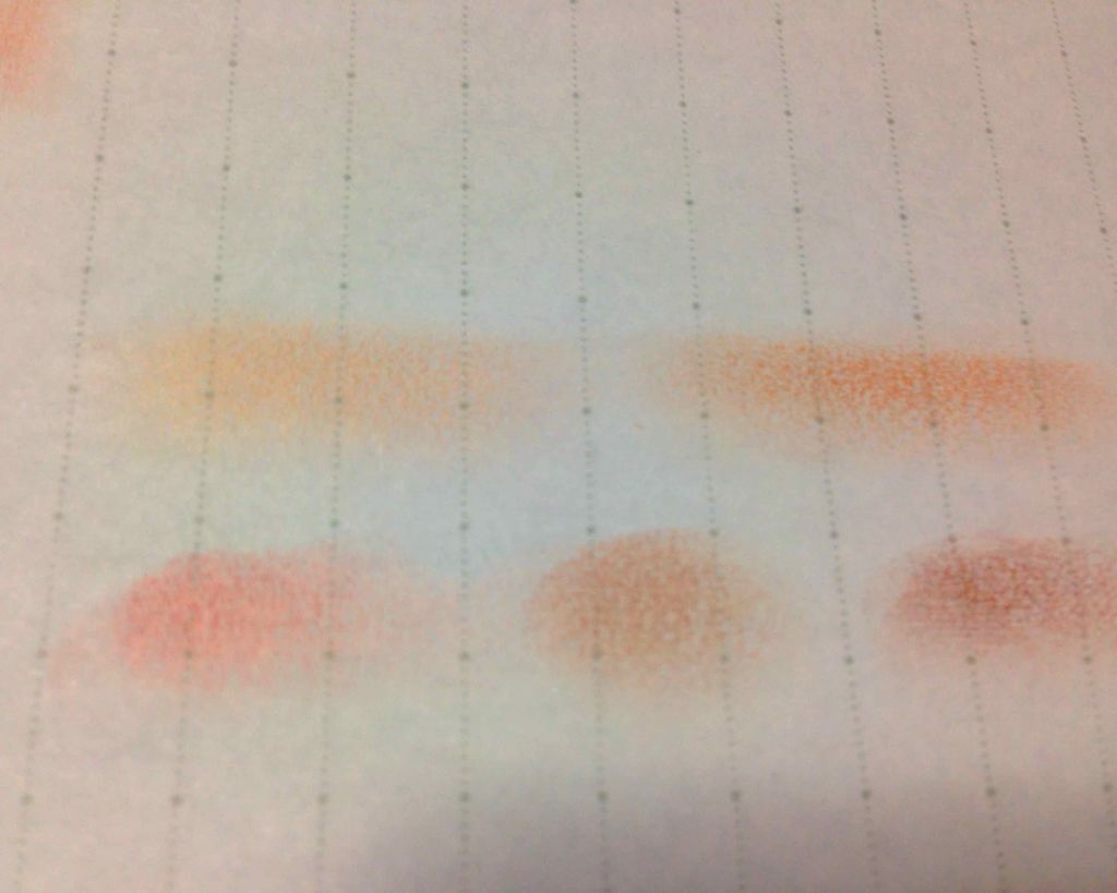 パーフェクトマルチアイズ/キャンメイク/アイシャドウパレットを使ったクチコミ（2枚目）