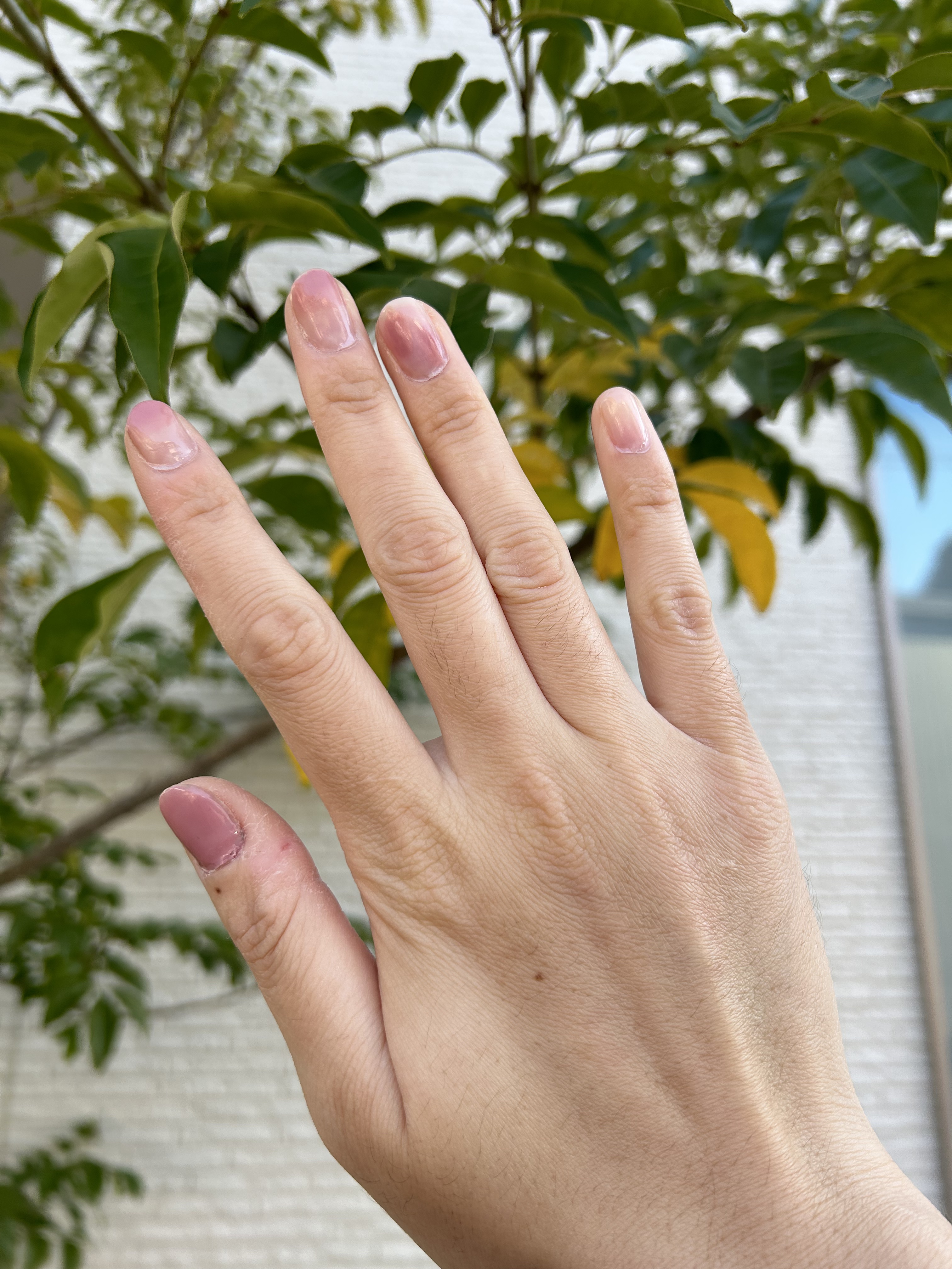 クイッククリスタルコートⅡ/ネイリスト/ネイルトップコートを使ったクチコミ（1枚目）