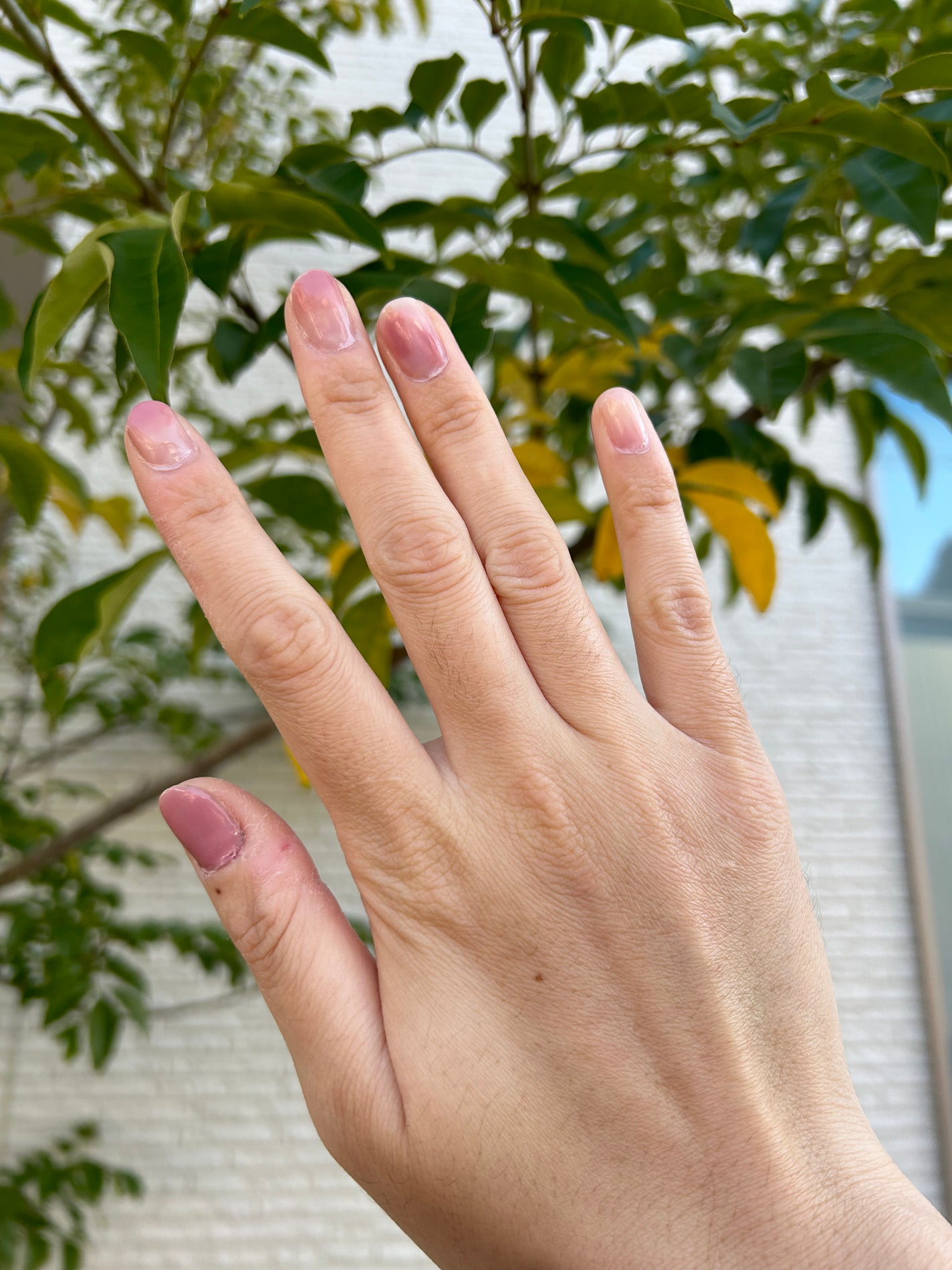 カラフルネイルズ/キャンメイク/マニキュアを使ったクチコミ(1枚目)