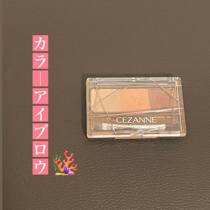 ノーズ&アイブロウパウダー/CEZANNE/パウダーアイブロウを使ったクチコミ(1枚目)