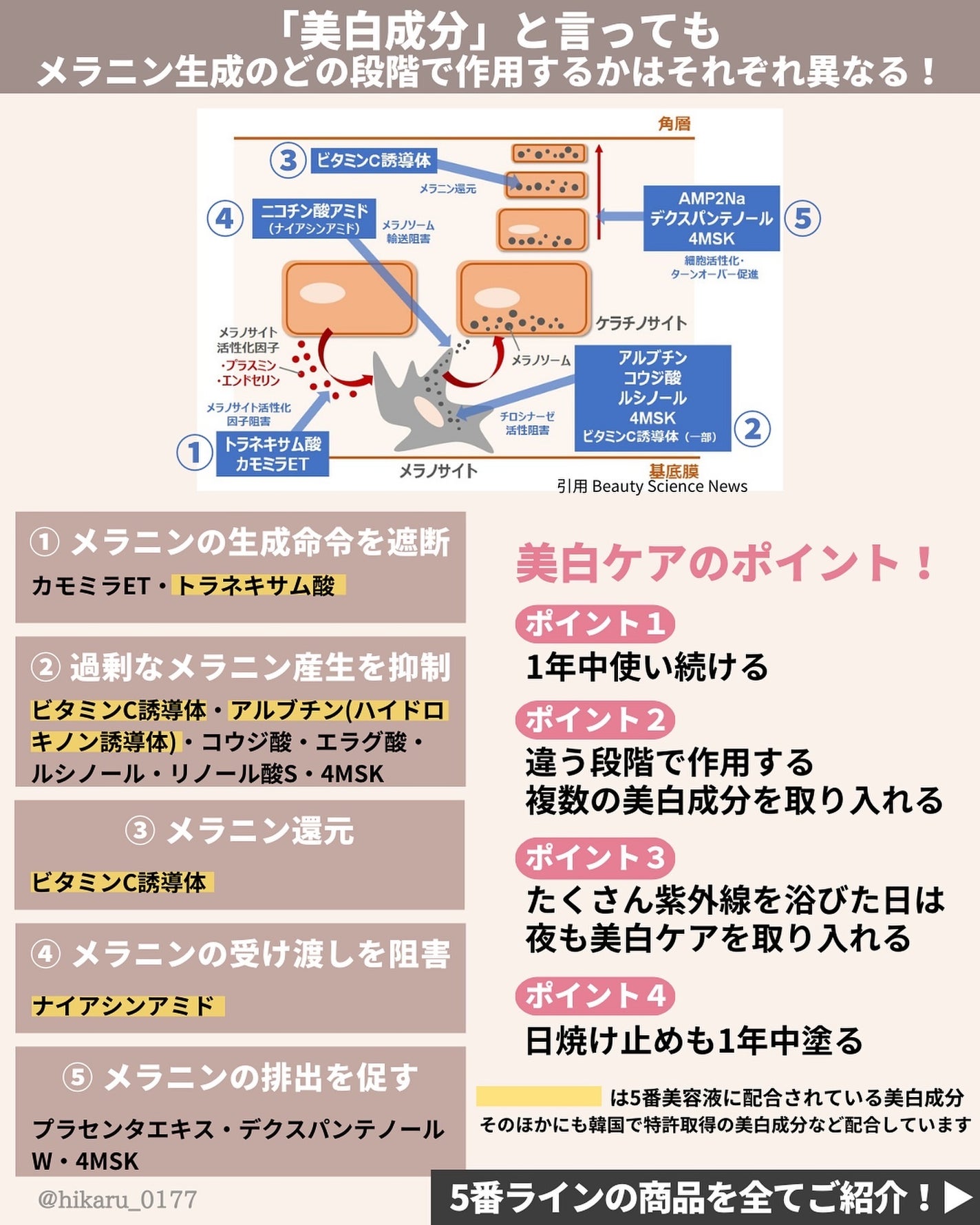 ひかる|肌悩み・成分・効果重視のスキンケア🌷 on LIPS 「メガ割✨ナンバーズインコラボ💛/韓国コスメが20%OFFで買え..」(6枚目)