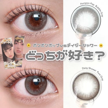 \  あなたはどっちのグレーが好き？  /


chuu LENS

🏷｜Pompon Pop
1day / 10枚入
DIA 14.2mm
G.DIA 13.1mm
BC 8.7mm
含水率 58%
