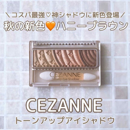 トーンアップアイシャドウ/CEZANNE/アイシャドウパレットを使ったクチコミ(1枚目)