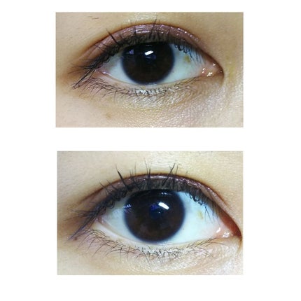 クイックラッシュカーラー/キャンメイク/マスカラ下地を使ったクチコミ(2枚目)