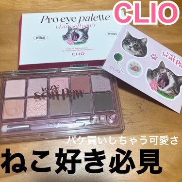 プロ アイ パレット/CLIO/アイシャドウパレットを使ったクチコミ（1枚目）