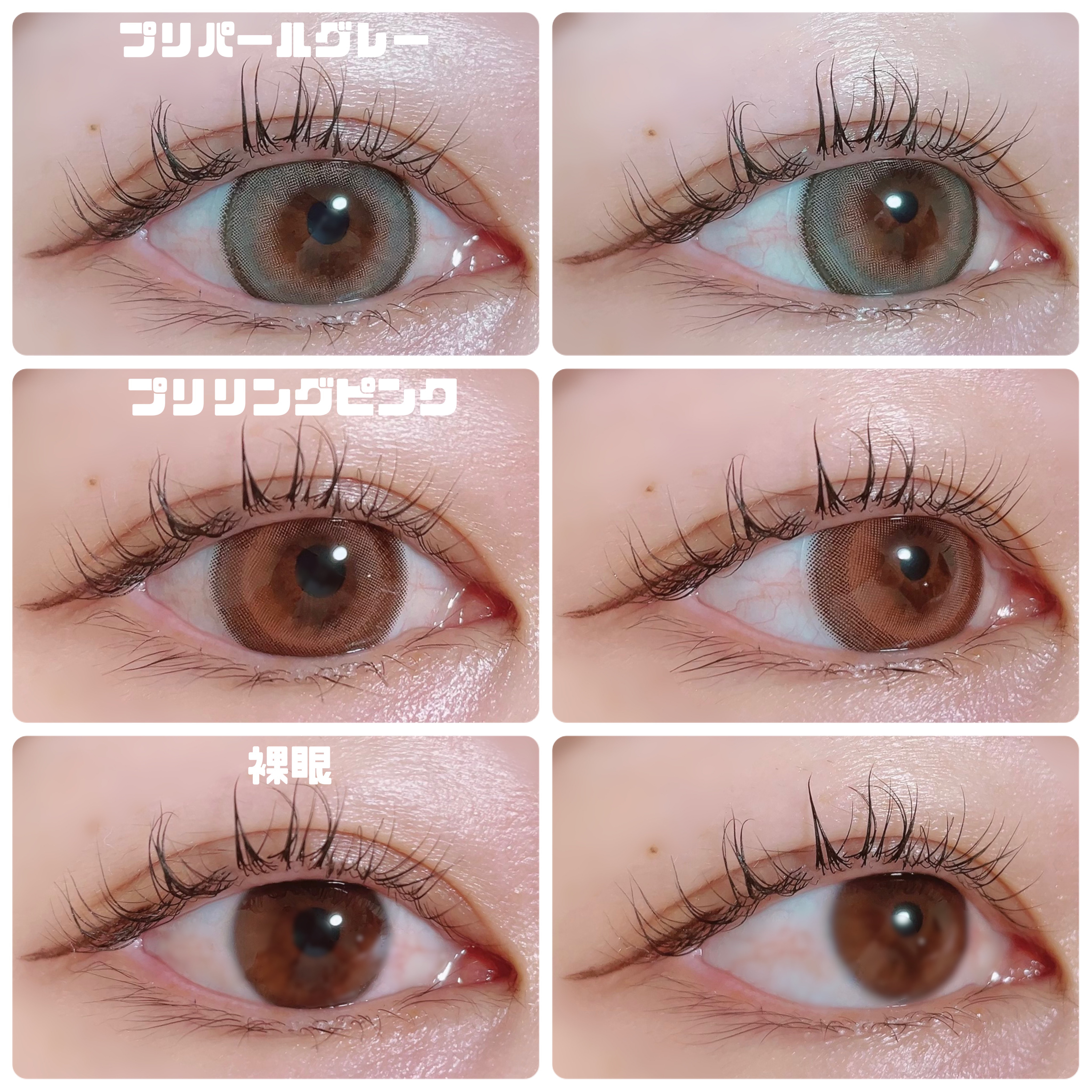 PRIMORE 1day/PRIMORE/カラーコンタクトレンズを使ったクチコミ（3枚目）