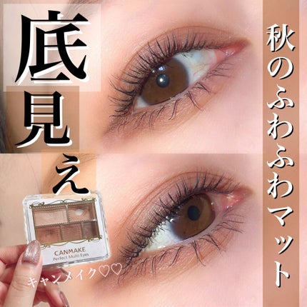 パーフェクトマルチアイズ/キャンメイク/アイシャドウパレットを使ったクチコミ(1枚目)