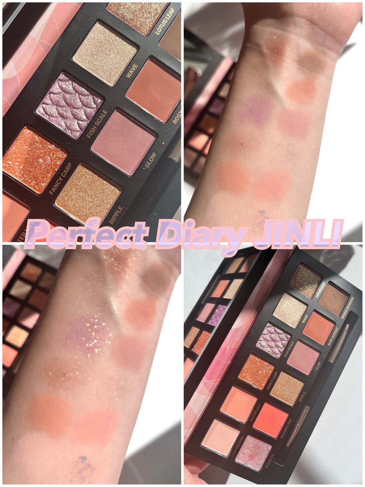 エクスプローラ12色 動物アイシャドウパレット/PERFECT DIARY/アイシャドウパレットを使ったクチコミ(1枚目)