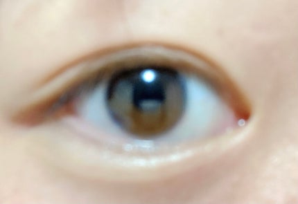 大英博物館 エジプトシリーズ アイシャドウパレット/ZEESEA/アイシャドウパレットを使ったクチコミ(4枚目)