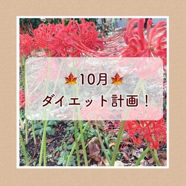 ※雑談※10月ダイエット計画🙋‍♀️🤎

10月になってから少し日が経ってしまいましたが、今月も自分の記録用に、意識していきたいことをまとめておきます(っ ॑꒳ ॑c)


✿目標✿
今月の目標は、「腸