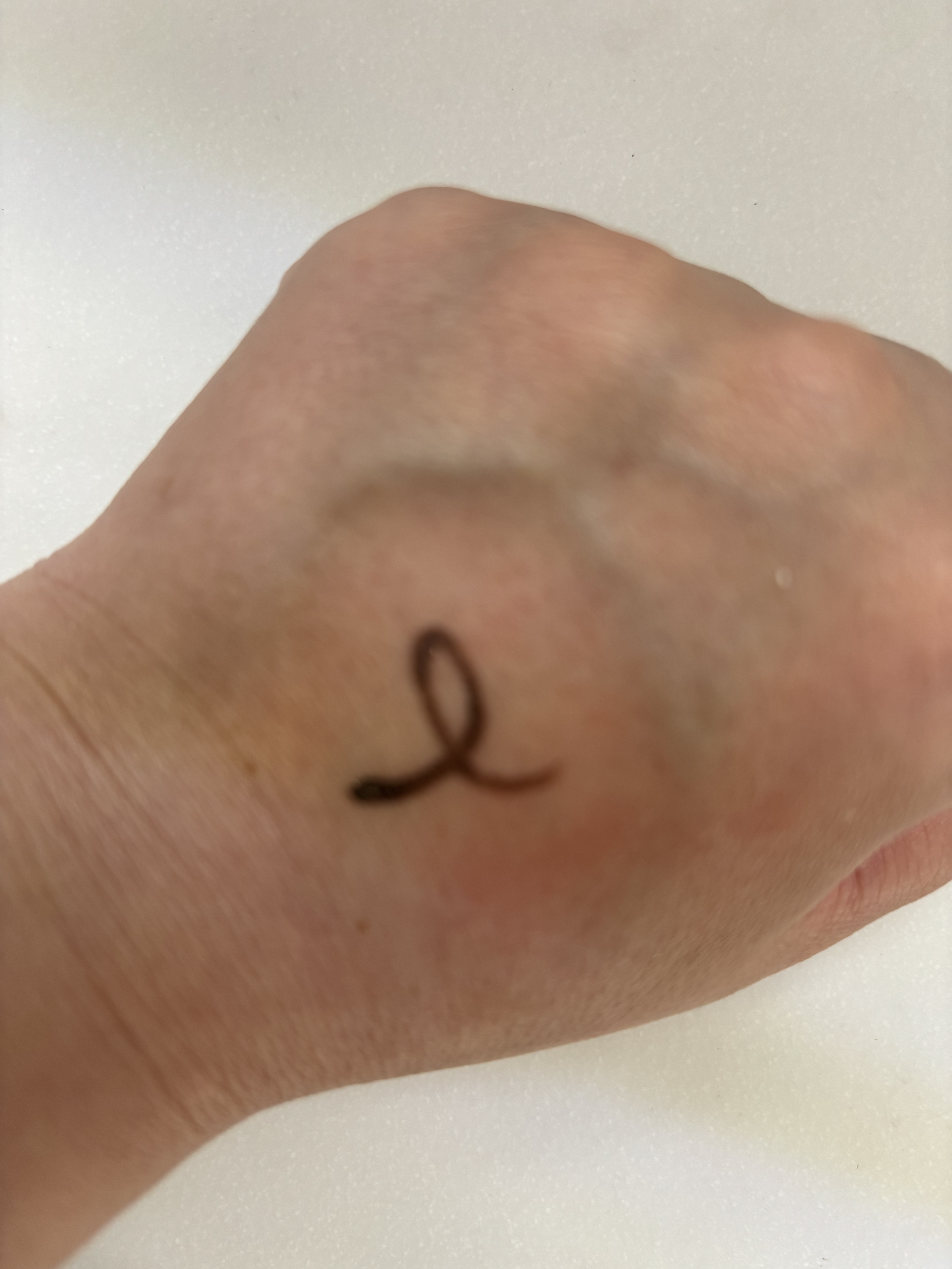 ジューシーグロス/MIRIMU/リップグロスを使ったクチコミ（3枚目）