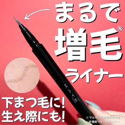 デザイニングライナー/KATE/リキッドアイブロウを使ったクチコミ(1枚目)