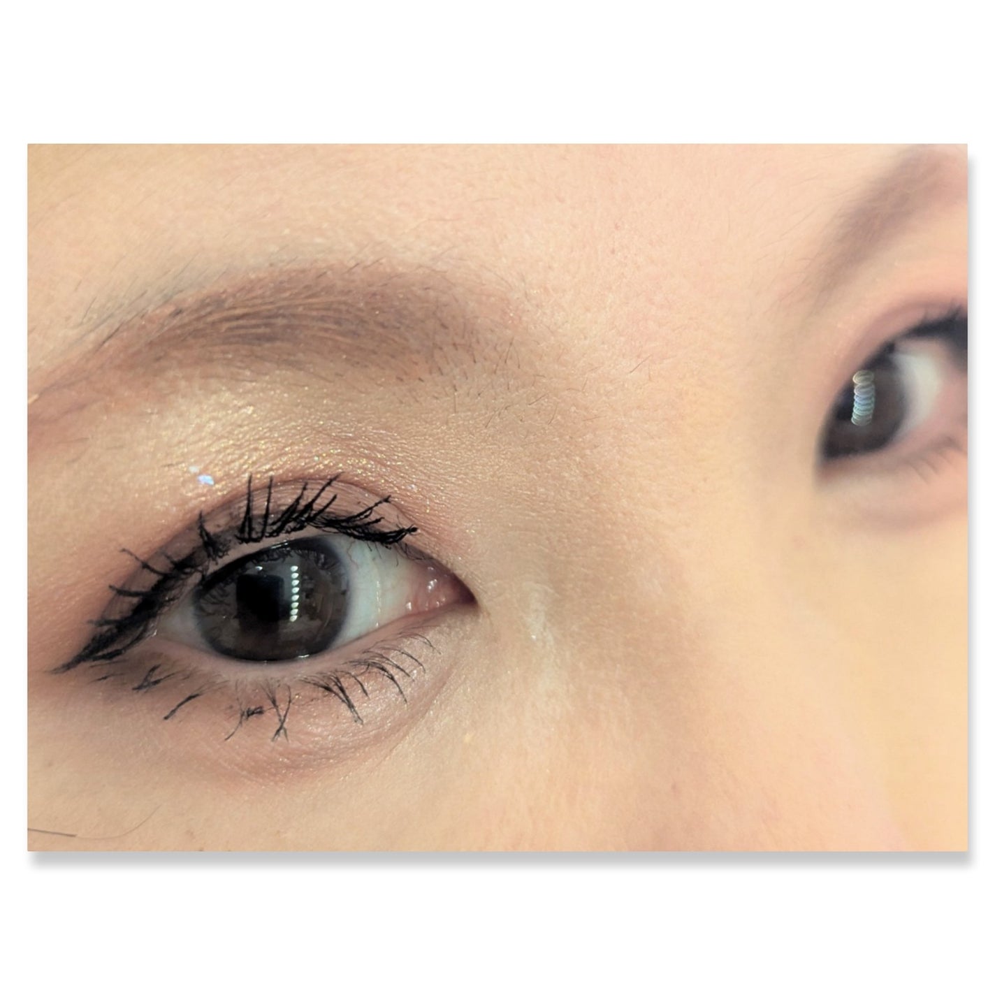 ベターザンアイズ/rom&nd/アイシャドウパレットを使ったクチコミ(2枚目)