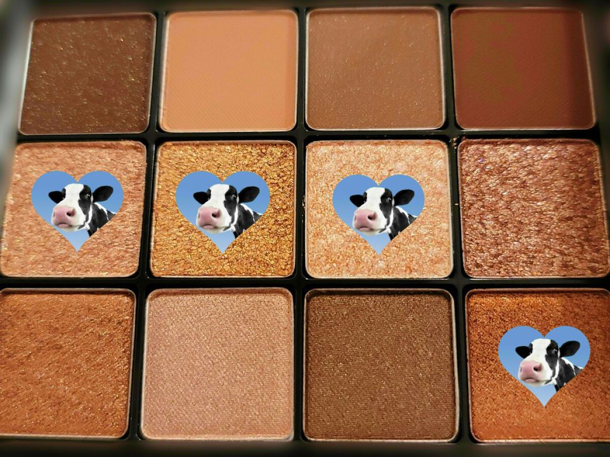 グラムチェンジマルチパレット 01 キャラメルブラウン/A.BLACK/マルチパレットを使ったクチコミ（3枚目）