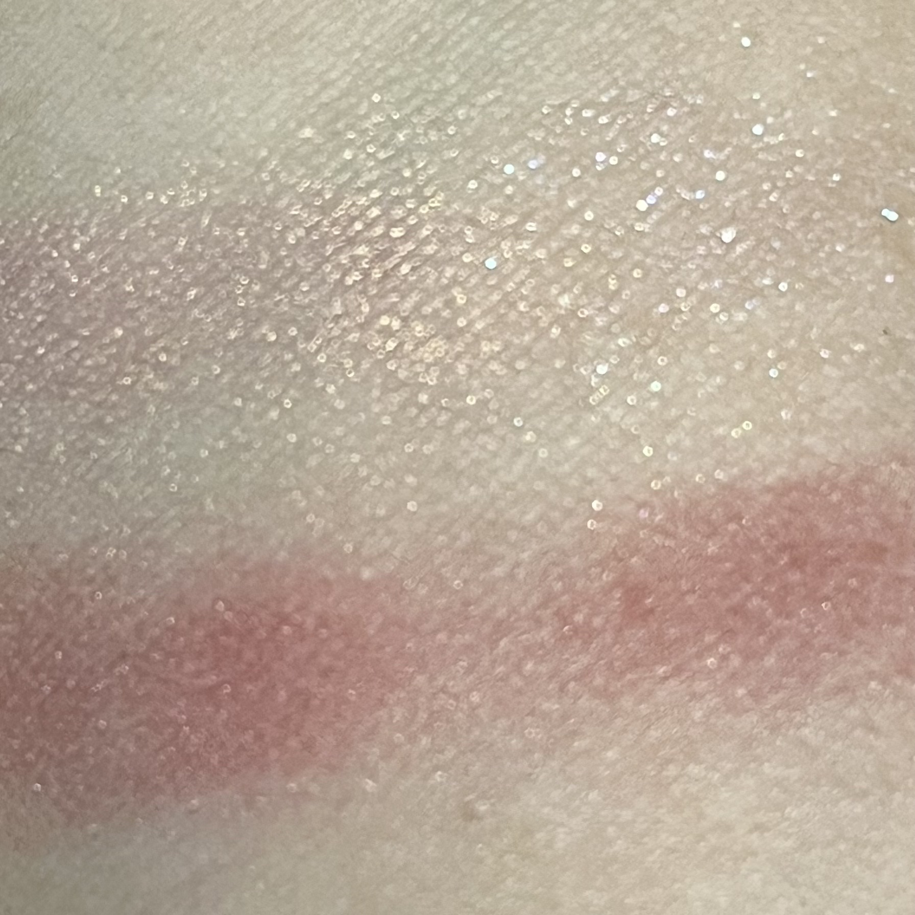 シグニチャー カラー アイズ/SUQQU/アイシャドウパレットを使ったクチコミ（2枚目）