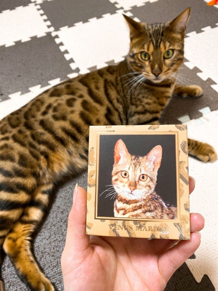 Venus Marble アイシャドウキャットシリーズ/Venus Marble/アイシャドウパレットを使ったクチコミ(1枚目)