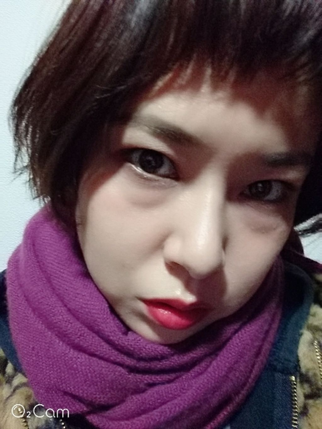 【旧】ルージュ ディオール/Dior/口紅を使ったクチコミ(2枚目)