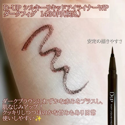 シルキーリキッドアイライナーWP/D-UP/リキッドアイライナーを使ったクチコミ(2枚目)