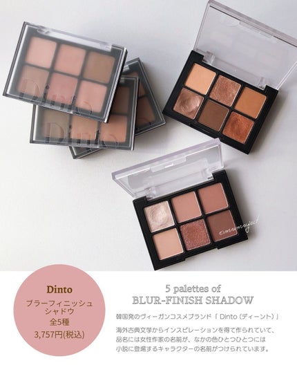 ブラーフィニシュシャドウパレット/Dinto/アイシャドウパレットを使ったクチコミ(2枚目)