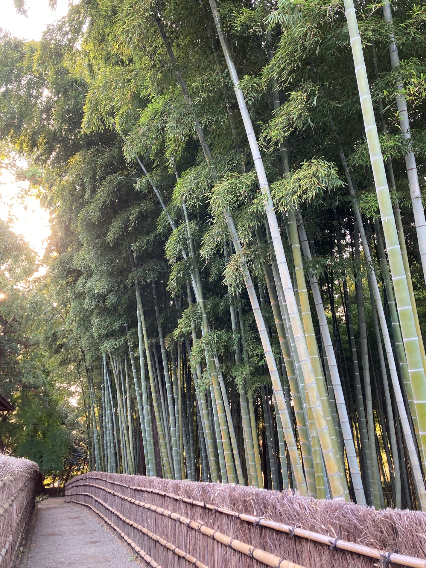 ななお on LIPS 「シルク枕カバーVSシルクナイトキャップどんなにシャンプートリー..」(1枚目)