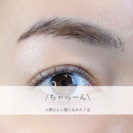 ブロウパウダー DUO/アナスタシア/パウダーアイブロウを使ったクチコミ(4枚目)