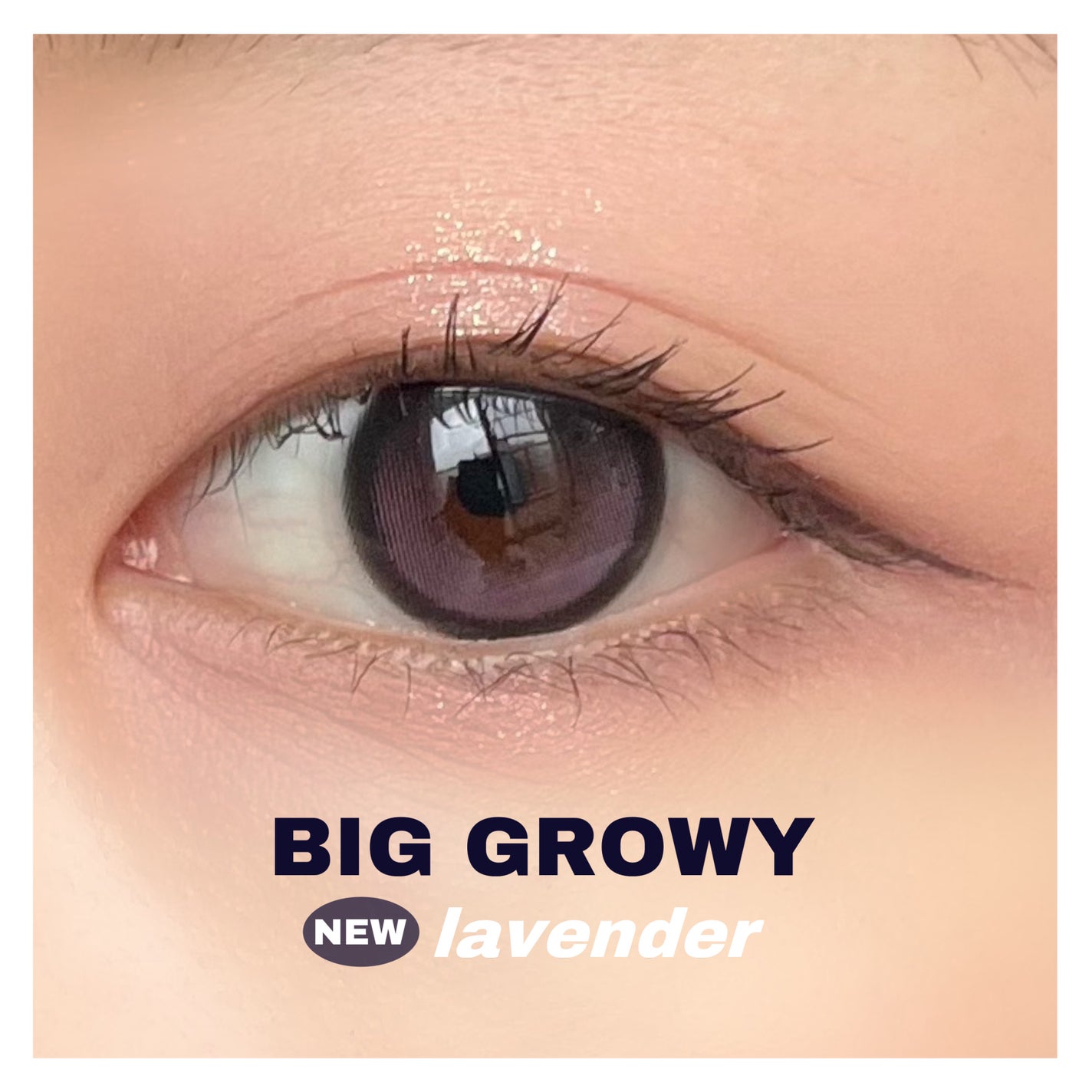 Big Glowy 1day/OLENS/ワンデー(1DAY)カラコンを使ったクチコミ(1枚目)